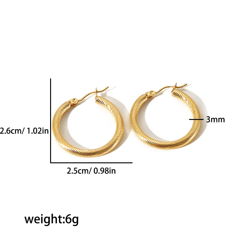 1 Pair Simple Style Solid Color Ring Shape Stainless Steel 18K Gold Plated  Women's Hoop Earrings h5 Picture2